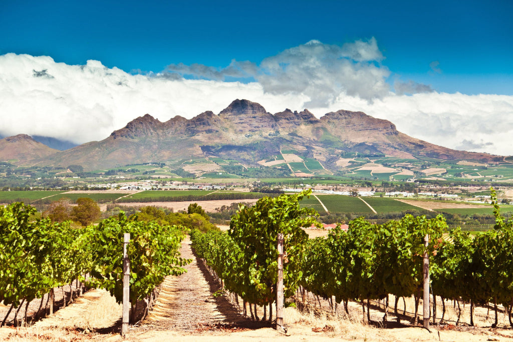 region-stellenbosch bei Magnum home & Wine Collections