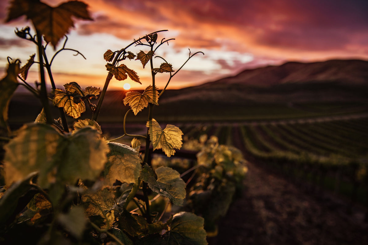 Goldener Herbst