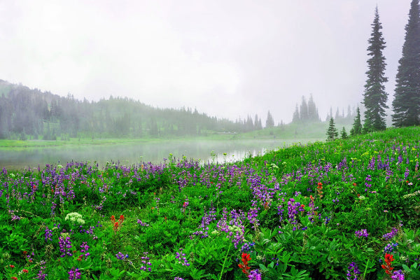  region-washington Magnum home & wine