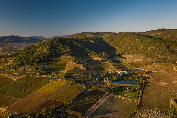 Weingut Rhebokskloof