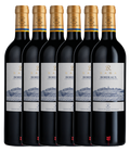 Domaines Baron de Rothschild Lafite Saga R Bordeaux 2020 · 6er Édition (6 × 0,75 l) · Magnum home & wine