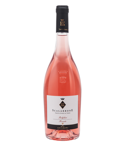 Scalabrone Rosato Guado al Tasso Antinori DOC 2024 · 0,75 l Normflasche · Magnum home & wine