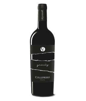 Collefrisio Semis Rosso 2013 · 0,75 l Normflasche · Magnum home & wine