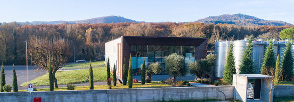 Weingut Barbanera