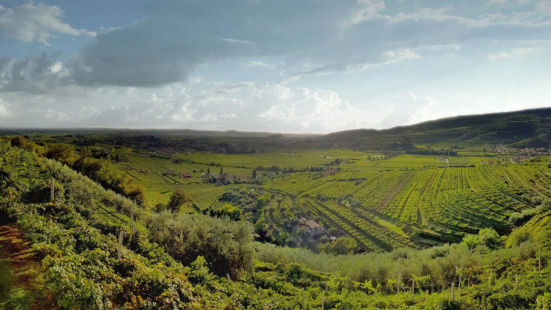 Speri Weingut Panorama