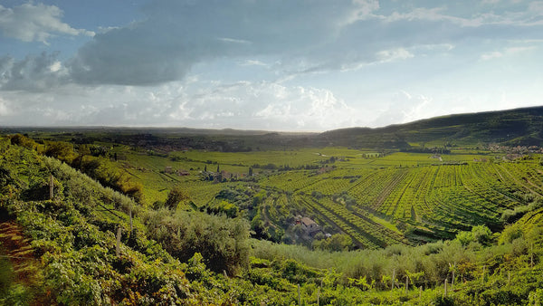 Weingut Speri