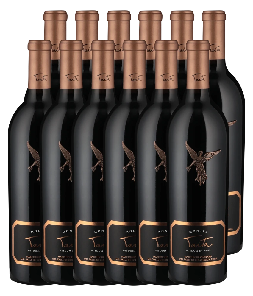 Montes Taita 2020 · 12er Édition (12 × 0,75 l) · Magnum home & wine
