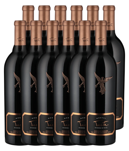 Montes Taita 2020 · 12er Édition (12 × 0,75 l) · Magnum home & wine