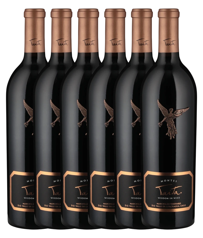 Montes Taita 2020 · 6er Édition (6 × 0,75 l) · Magnum home & wine