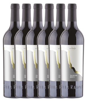 Villa Raiano Taurasi 2019 · 6er Édition (6 × 0,75 l) · Magnum home & wine