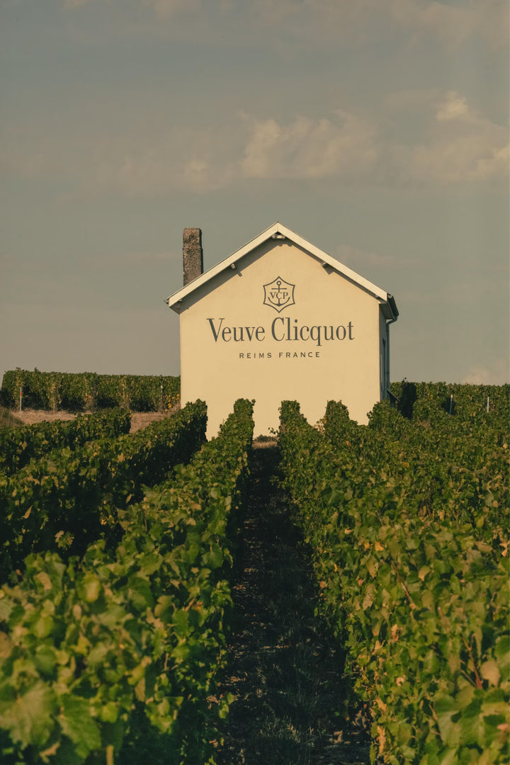 Veuve Clicquot