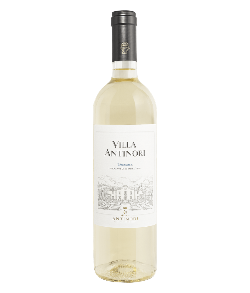 Villa Antinori Bianco Toscana IGT 2023 · 0,75 l Normflasche · Magnum home & wine