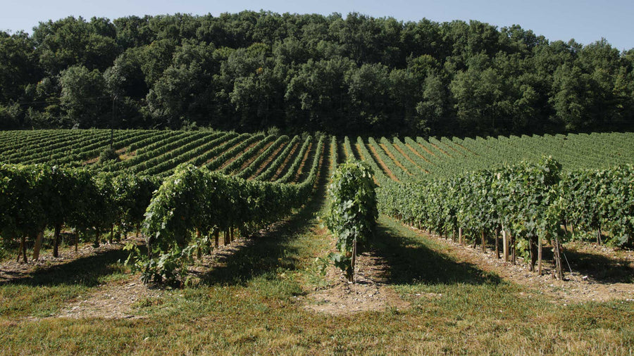 Domaines Alain Aubert