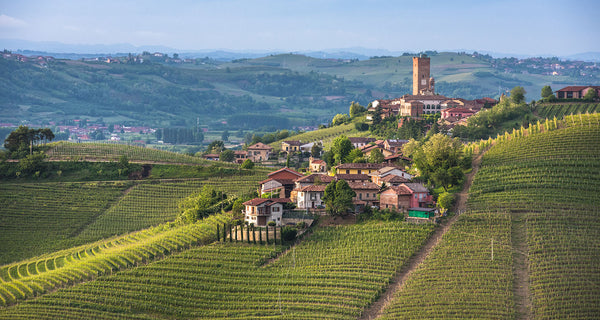 Weingut Angelo Gaja