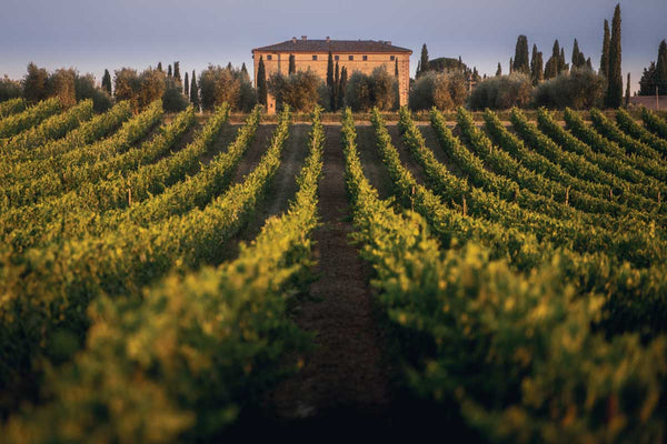 Weingut Argiano