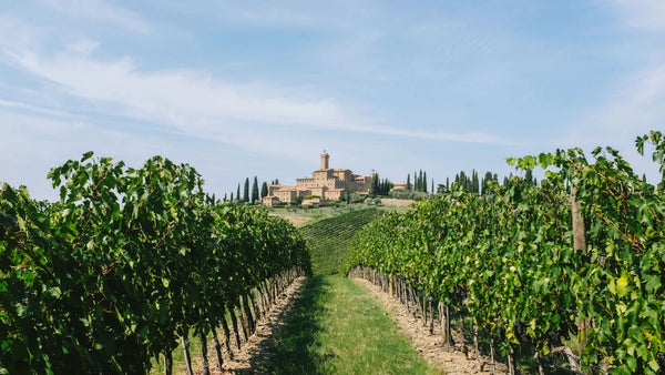 Weingut Castello Banfi