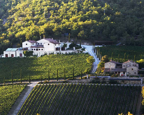 Weingut Brancaia