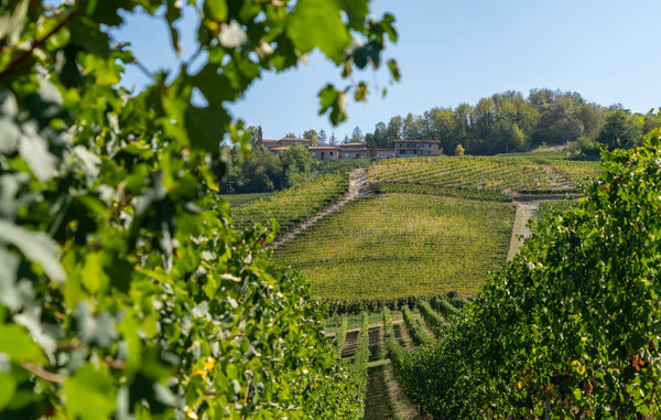 Weingut Giacomo Fenocchio
