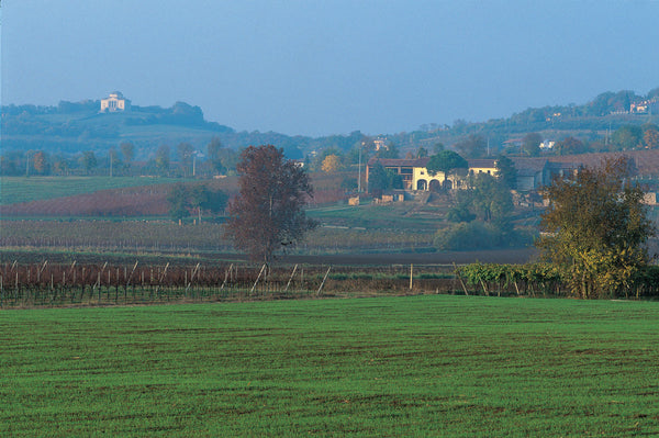 Weingut Inama