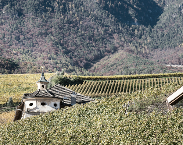 Weingut Manincor