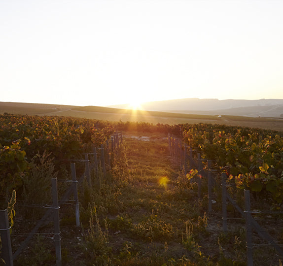 Weingut Louis Roederer
