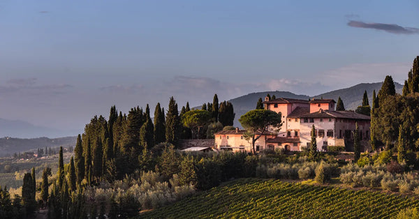 Weingut Villa Vignamaggio