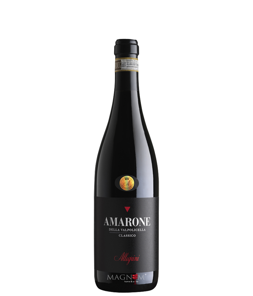Allegrini  Amarone della Valpolicella bei Magnum home & wine Collections