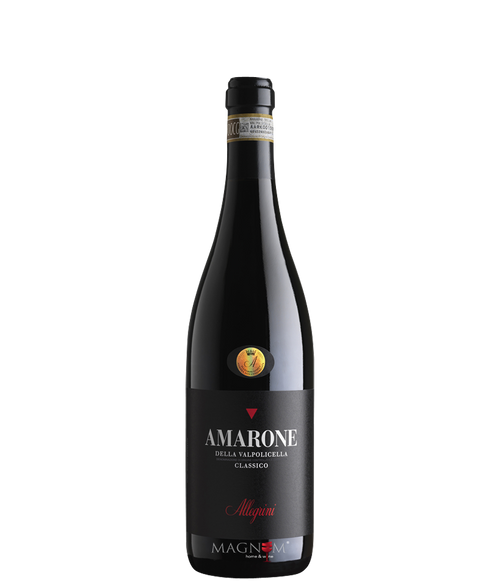 Allegrini  Amarone della Valpolicella bei Magnum home & wine Collections