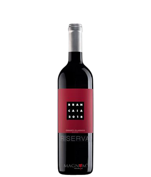 Brancaia Chianti Classico Riserva DOCG bei Magnum home & wine Collections