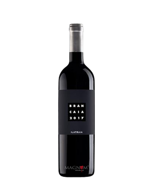 Brancaia Ilatraia IT bei Magnum home & wine Collections