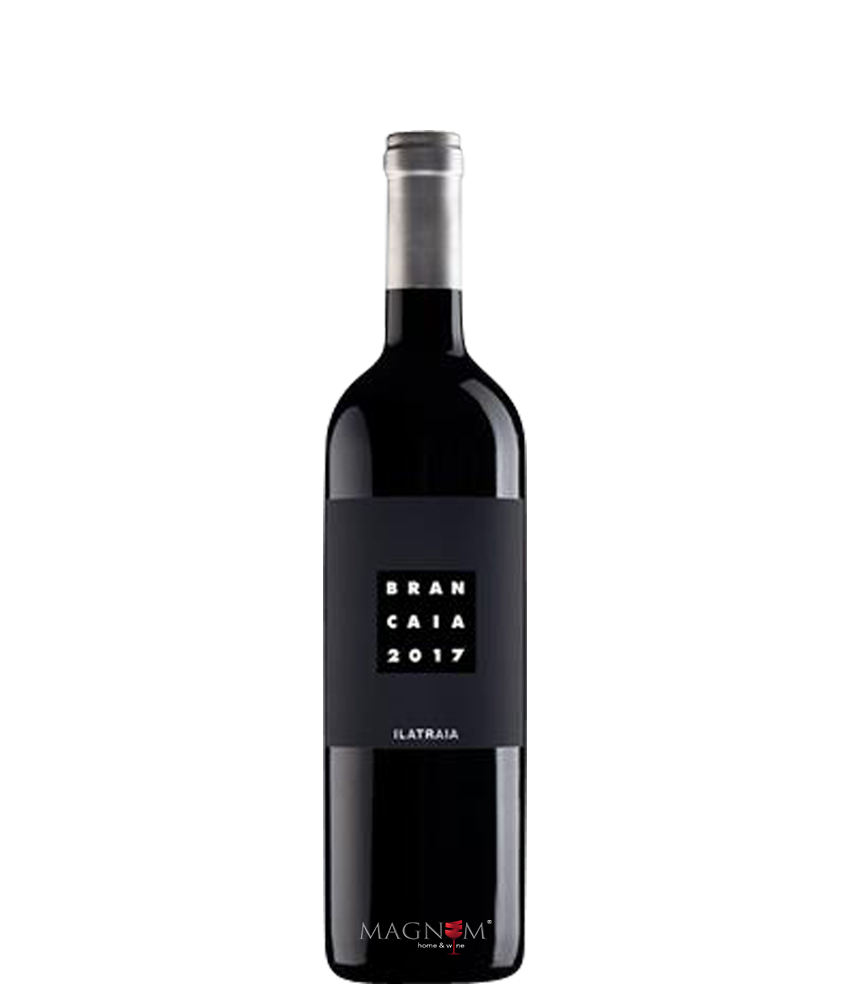 Brancaia Ilatraia IT bei Magnum home & wine Collections