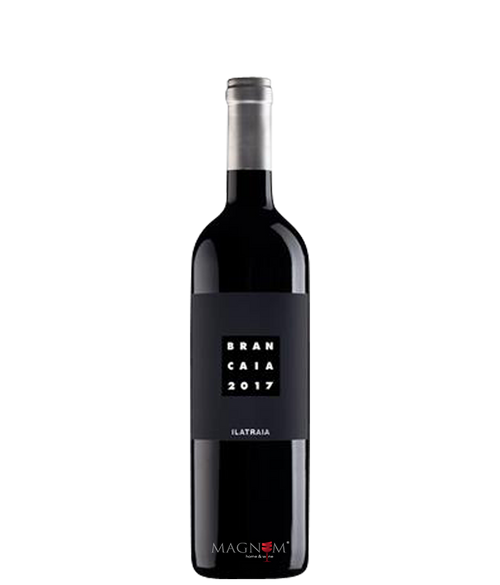Brancaia Ilatraia IT bei Magnum home & wine Collections