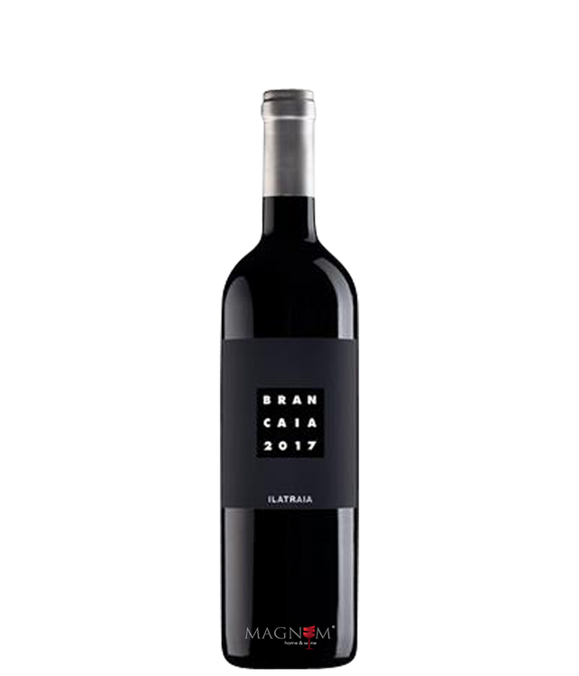 Brancaia Ilatraia IGT 2021 · Magnum 1,5 l 1,5 L