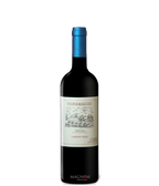 Cabernet Franc Toscana IGT bei Magnum home & wine Collections