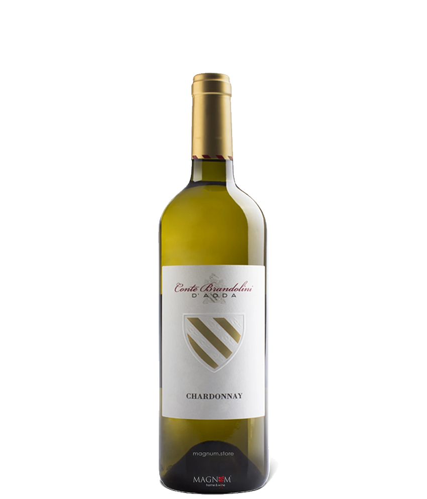 Chardonnay von Conte Brandolini bei Magnum home & wine Collections