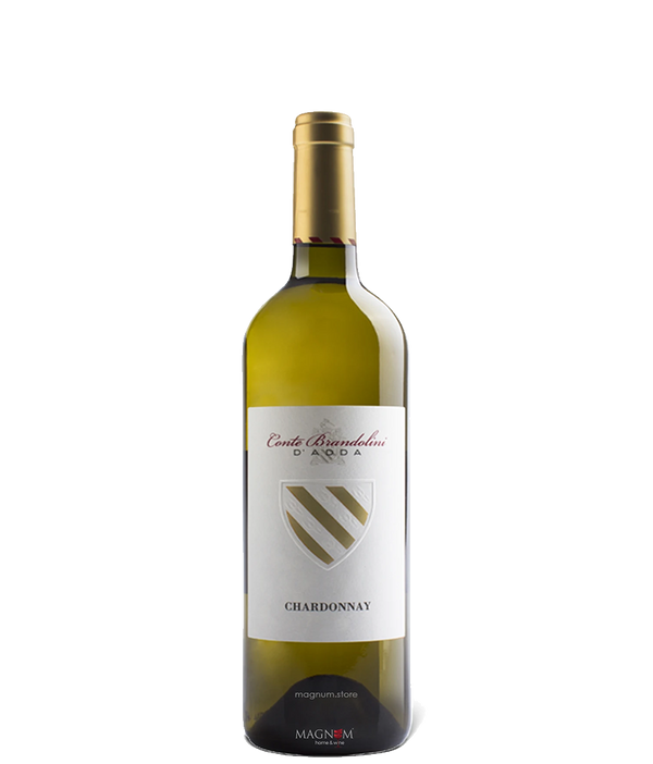 Chardonnay von Conte Brandolini bei Magnum home & wine Collections