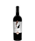 Collefrisio In & Out Montepulciano d´Abruzzo DOC bei Magnum home & wine Collections