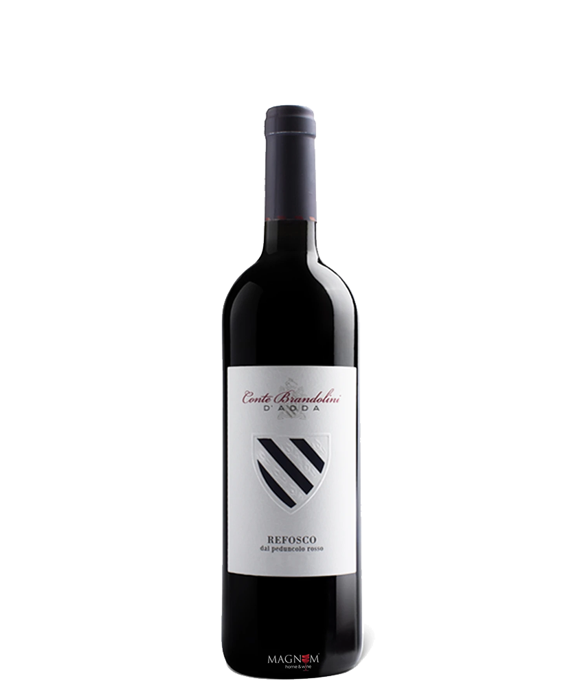 Conte Brandolini  Refosco dal Peduncolo bei Magnum home & wine Collections