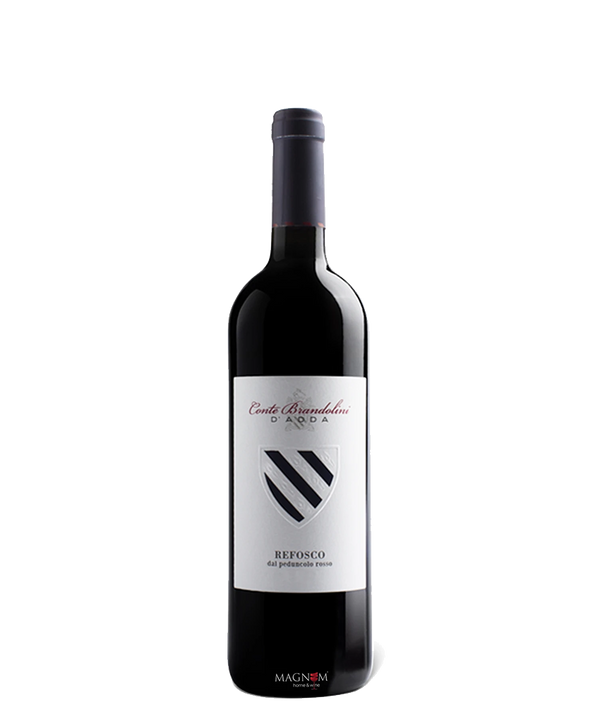 Conte Brandolini  Refosco dal Peduncolo bei Magnum home & wine Collections