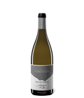 Etna Bianco Palmento Costanzo bei Magnum home & wine Collections