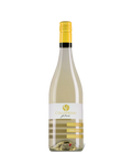 Filare Trebbiano von Collefrisio bei Magnum home & wine Collections