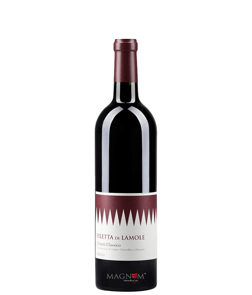 Fontodi Filetta Di Lamole Chianti Classico DOCG Bio bei Magnum home & wine Collections