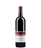 Fontodi Filetta Di Lamole Chianti Classico DOCG Bio bei Magnum home & wine Collections