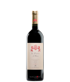 Il Pino di Biserno Toscana IGT  bei Magnum home & wine Collections