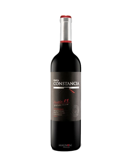 Parcela 23 Tempranillo Magnum 2015 bei Magnum home & wine Collections