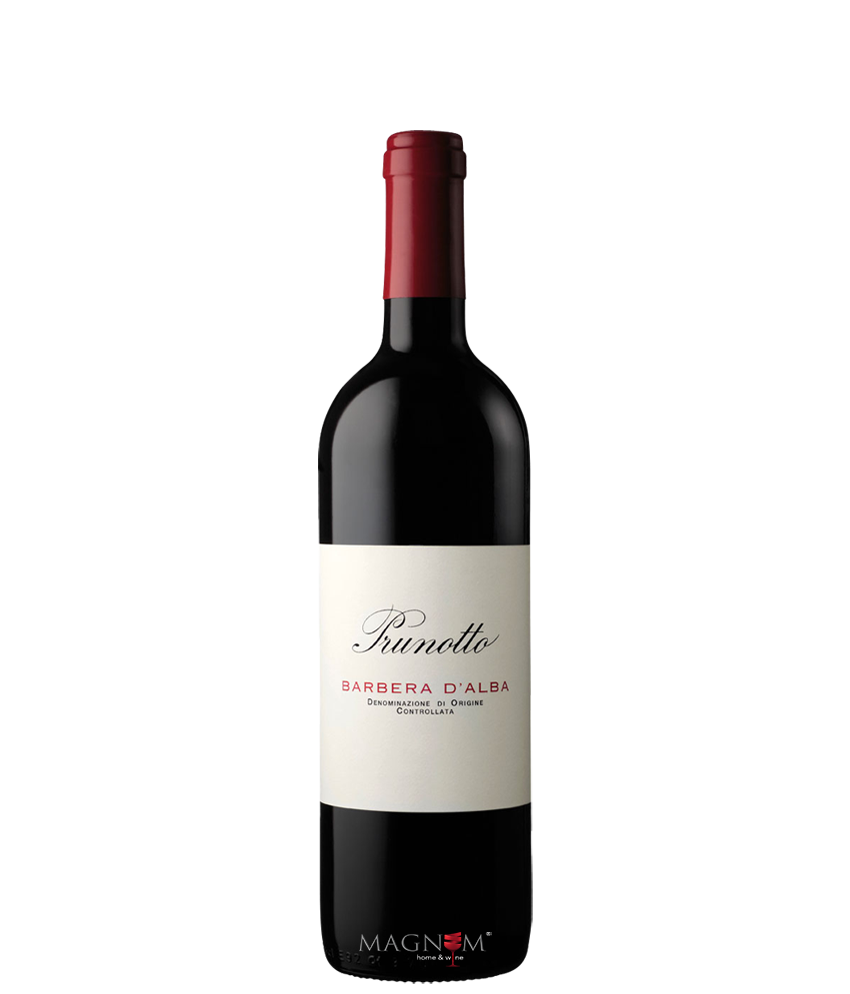 Prunotto Barbera d´Alba DOC bei Magnum home & wine Collections