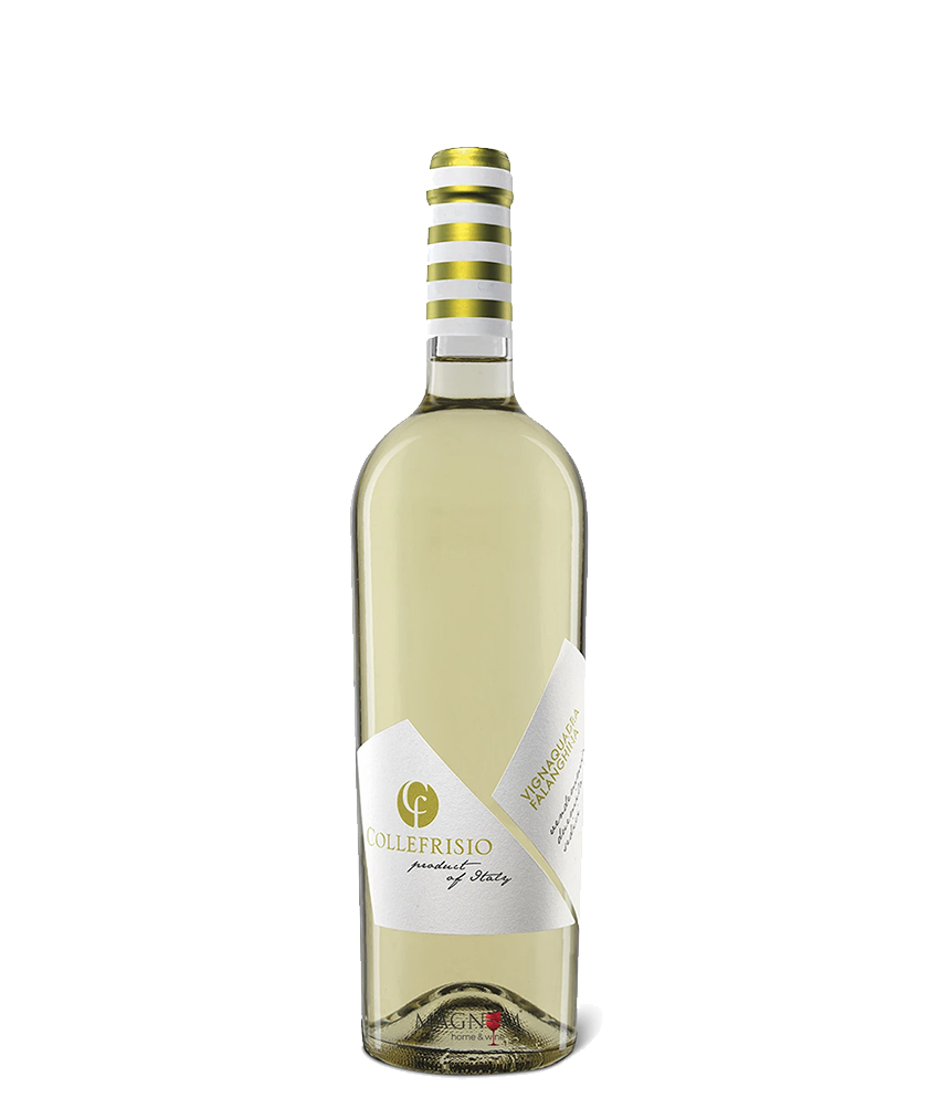 Vgnaquadra Falanghina von Collefrisio bei Magnum home & wine Collections