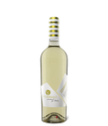 Vgnaquadra Falanghina von Collefrisio bei Magnum home & wine Collections