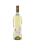 Vignaquadra Pecorino von Collefrisio bei Magnum home & wine Collections