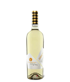 Vignaquadra Pecorino von Collefrisio bei Magnum home & wine Collections